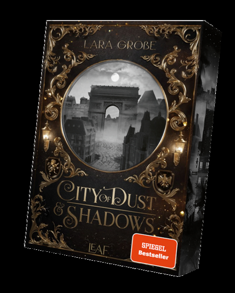 City of Dust and Shadows - Lara Große