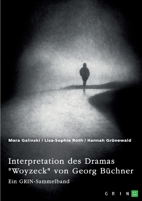 Interpretation des Dramas "Woyzeck" von Georg BÃ¼chner. Verschiedene AnsÃ¤tze - Mara Galinski, Lisa-Sophie Roth, Hannah GrÃ¼newald