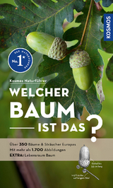 Welcher Baum ist das? - Spohn, Margot; Spohn, Roland