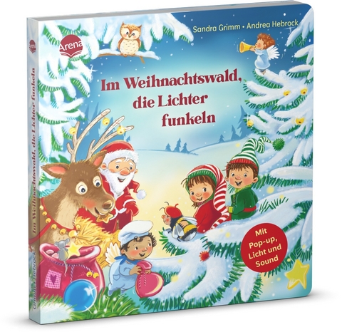 Im Weihnachtswald, die Lichter funkeln - Sandra Grimm