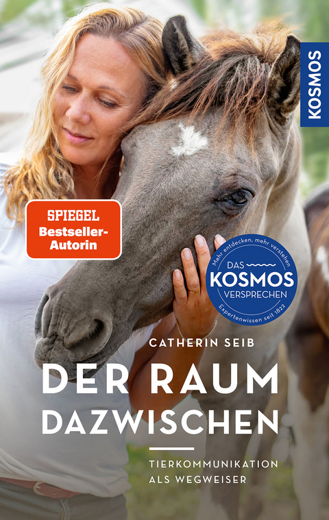 Der Raum dazwischen - Catherin Seib