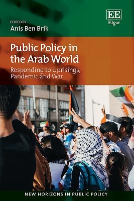 Public Policy in the Arab World - 