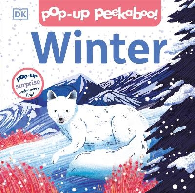 Pop-up Peekaboo! Winter -  Dk