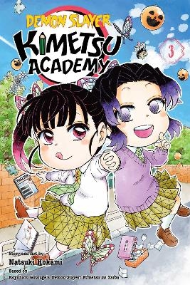 Demon Slayer: Kimetsu Academy, Vol. 3 - Natsuki Hokami