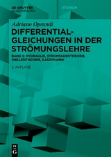 Differentialgleichungen in der Strömungslehre - Oprandi, Adriano