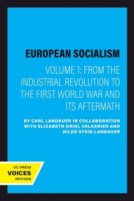 European Socialism, Volume I - Carl Landauer