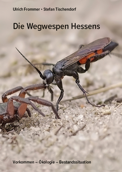 Die Wegwespen Hessens - Ulrich Frommer, Stefan Tischendorf