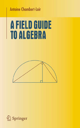 A Field Guide to Algebra - Antoine Chambert-Loir