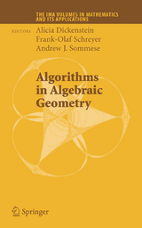 Algorithms in Algebraic Geometry - 