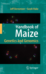 Handbook of Maize - 