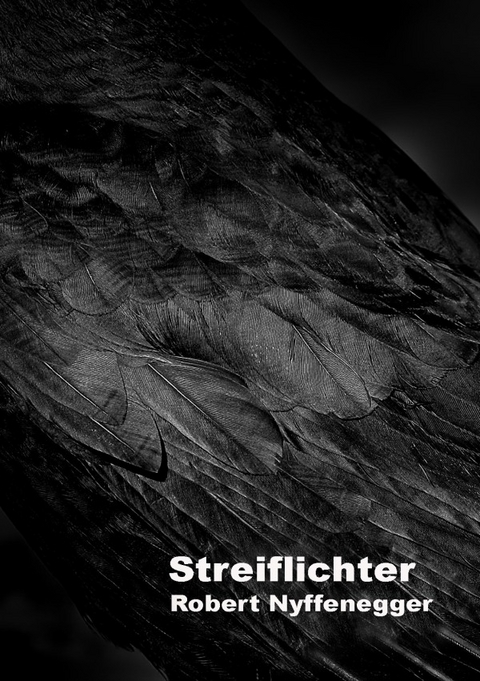 Streiflichter - Robert Nyffenegger