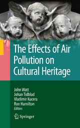 The Effects of Air Pollution on Cultural Heritage - 