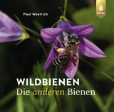 Wildbienen - Paul Westrich