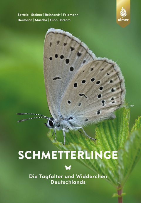 Schmetterlinge - Josef Settele, Roland Steiner, Rolf Reinhardt, Reinart Feldmann, Gabriel Hermann, Martin Musche, Elisabeth Kühn, Gunnar Brehm