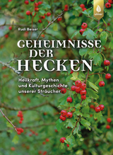 Geheimnisse der Hecken - Rudi Beiser