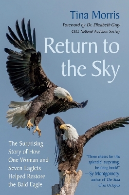 Return to the Sky - Tina Morris