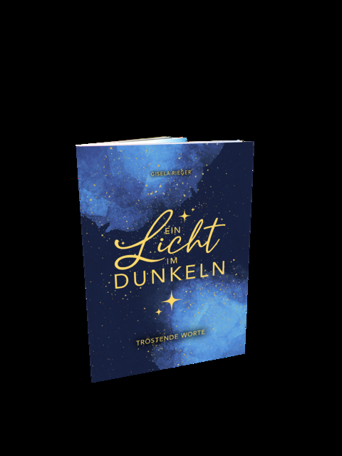 Ein Licht im Dunkeln - Gisela Rieger