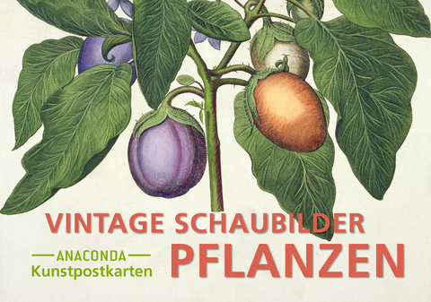 Postkarten-Set Vintage-Schaubilder Pflanzen - 