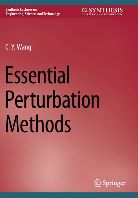 Essential Perturbation Methods - C.Y. Wang