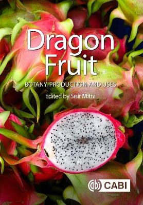 Dragon Fruit - 