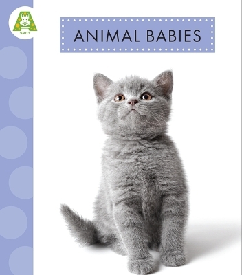 Animal Babies - Anastasia Suen