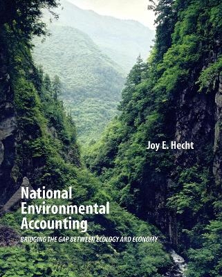 National Environmental Accounting - Joy Hecht