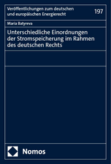 Unterschiedliche Einordnungen der Stromspeicherung im Rahmen des deutschen Rechts - Maria Batyreva