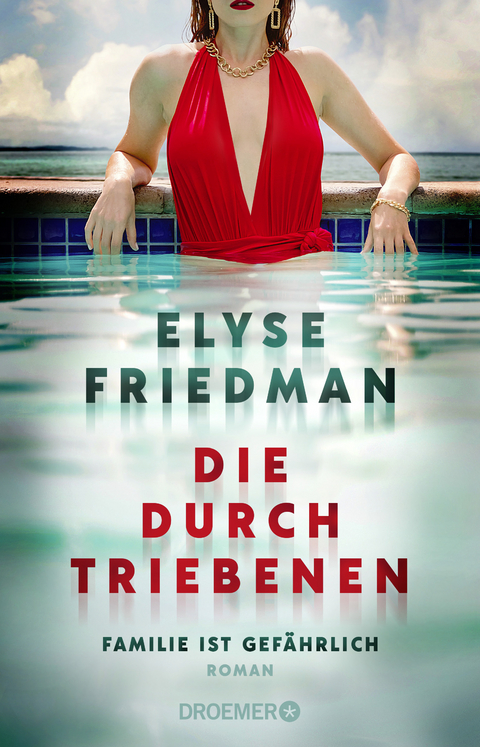 Die Durchtriebenen - Elyse Friedman