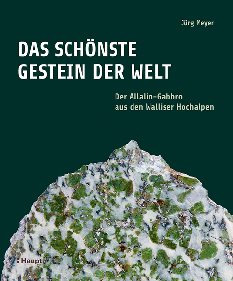 Das schönste Gestein der Welt - Jürg Meyer