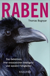 Raben - Thomas Bugnyar