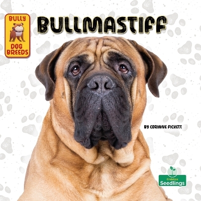 Bullmastiff - Corinne Fickett