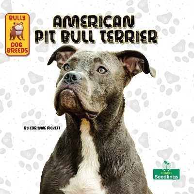 American Pit Bull Terrier - Corinne Fickett