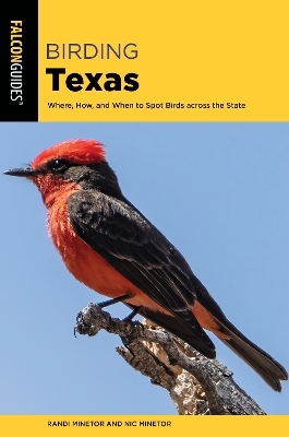 Birding Texas - Randi Minetor, Nic Minetor