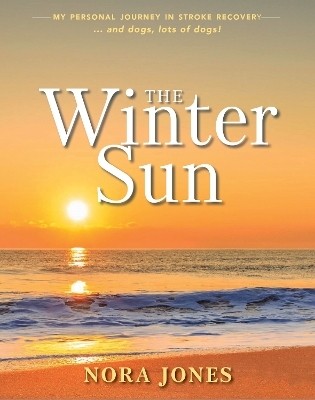 The Winter Sun - Nora Jones