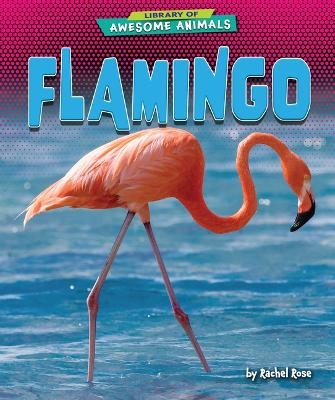 Flamingo - Rachel Rose