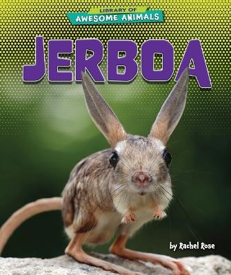 Jerboa - Rachel Rose