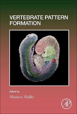 Vertebrate Pattern Formation - 