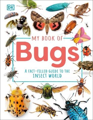 My Book of Bugs -  Dk