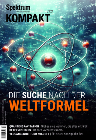 Spektrum Kompakt 3/2024 - Die Suche nach der Weltformel - 