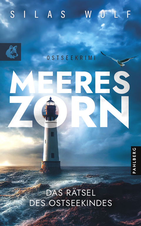 Meereszorn - Das Rätsel des Ostseekindes - Silas Wolf