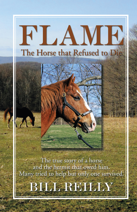 Flame - the Horse That Refused to Die -  Bill Reilly