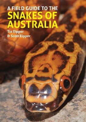 A Field Guide to the Snakes of Australia - Tie Eipper, Scott Eipper