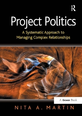 Project Politics - Nita A. Martin