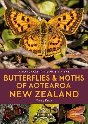 A Naturalist's Guide to the Butterflies & Moths of Aotearoa New Zealand - Carey Knox