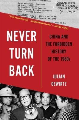 Never Turn Back - Julian Gewirtz