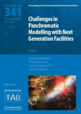 Challenges in Panchromatic Modelling with Next Generation Facilities (IAU S341) - 