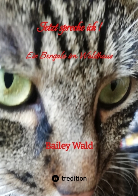 Jetzt spreche ich ! FIV Kater Bailey berichtet aus seinen Leben - Bailey Wald