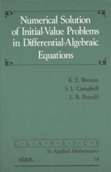 Numerical Solution of Initial-Value Problems in Differential-Algebraic Equations - Brenan, K. E.; Campbell, S. L.; Petzold, L. R.