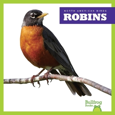 Robins - Rachel Grack