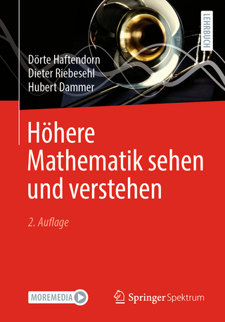 Höhere Mathematik sehen und verstehen